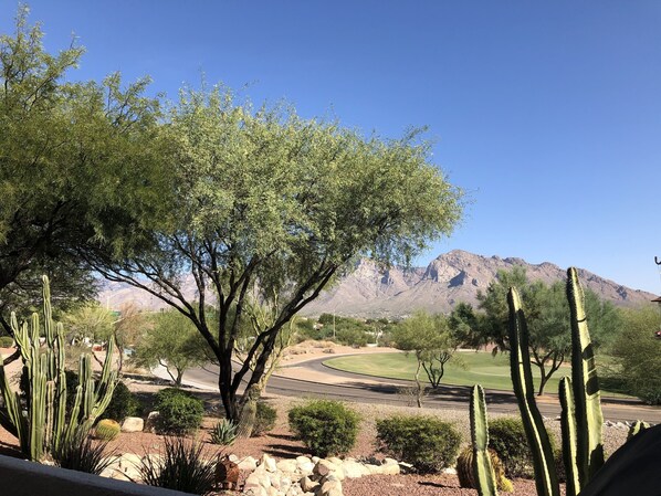 Patio view of Catalina Mountains; El Conquistador Golf Course