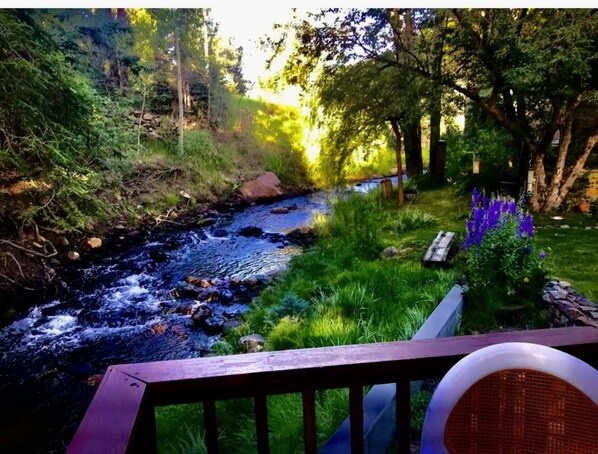 Upriver view
