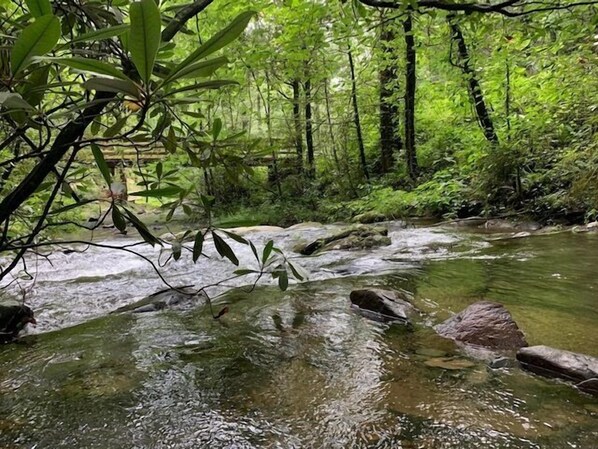 View of our bridge and swimming hole from our yard