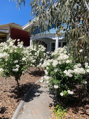 La Maison Rose front garden