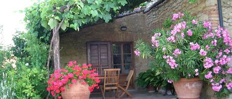 PePergola's terrace near the kitchen, with teak wood table.