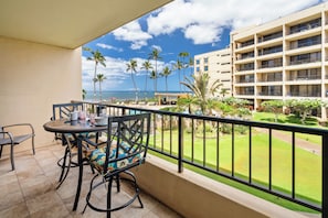 View from lanai