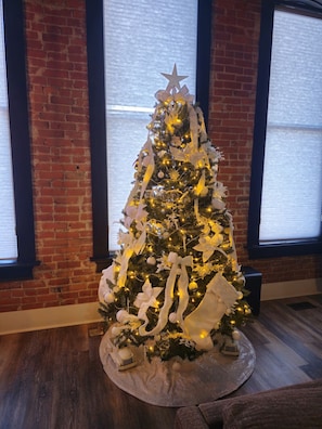Stay during December and enjoy a beautifully decorated Christmas Tree!