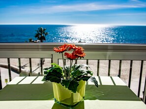 Water, Flower, Sky, Plant, Table, Daytime, Property, Furniture, Blue, Flowerpot