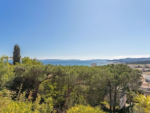 Ciel, Bleu, Jour, Feuille, Vert, La Nature, Végétation, Horizon, Communauté Des Plantes, Arbuste