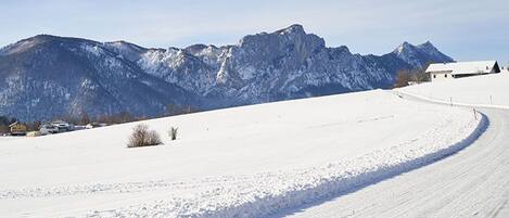 Bergblick Acht