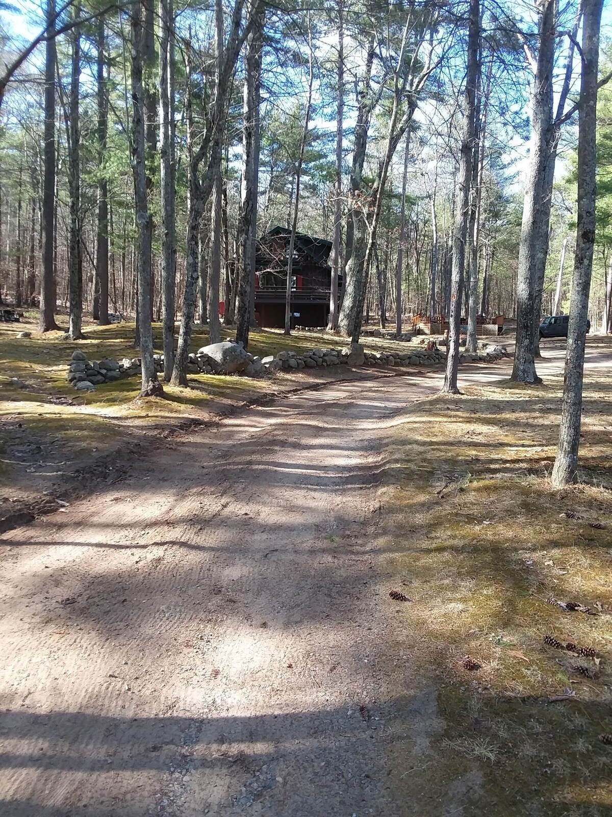 Main Image