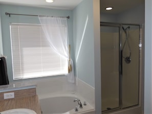 soaker tub and shower in master bed room