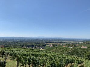Oklassificerad bild, 5 av 29, knapp