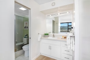 Full bathroom with walk-in shower.