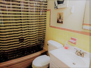 full bathroom with bathtub and shower