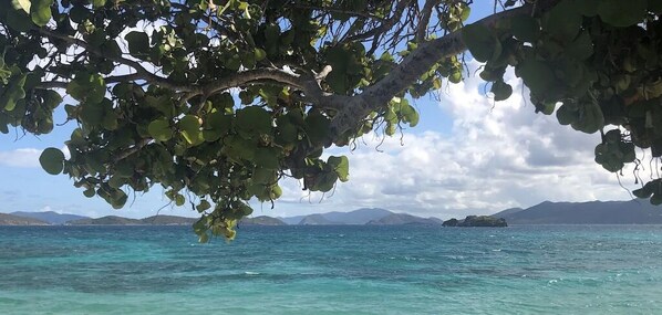 Playa