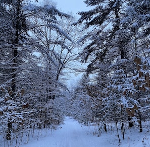 Desportos de neve e esqui