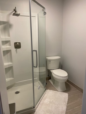 Main bath/shower 