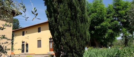 CASALINI  2