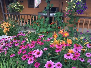 Summer flowers abound in the front yard!