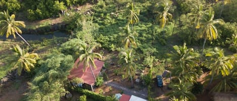 our property is in the middle of nature. Wild, green and so peaceful