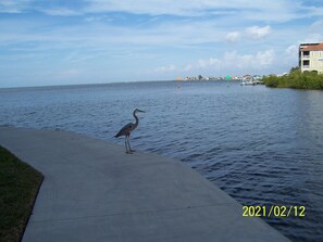 Unclassified image, 4 of 24, button