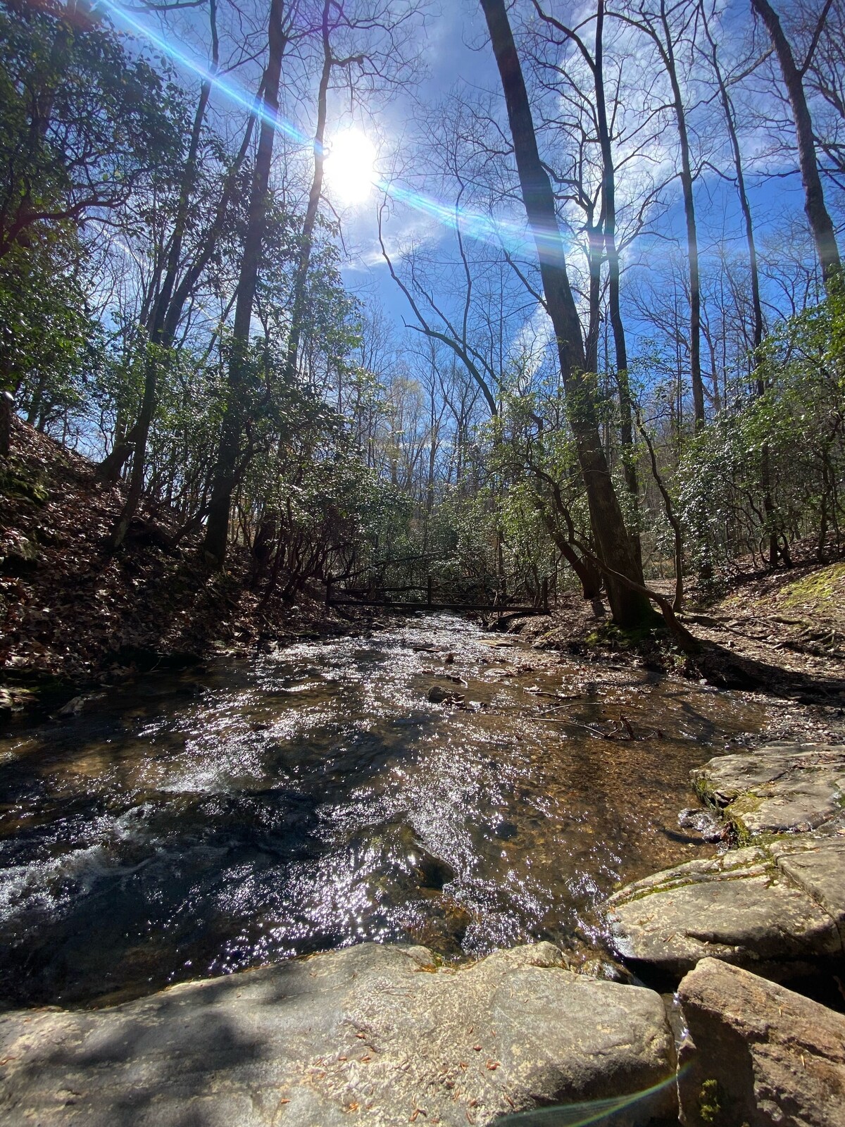 GLORIOUSLY PRIVATE …. TUCKED INN at BIG CANOE – NORTH GA MOUNTAINS!