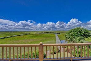 Back Deck View