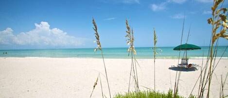 Vanderbilt Beach