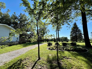 side yard