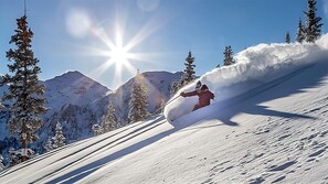 Sneeuw- en skisporten