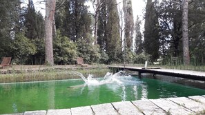 natural swimming pool