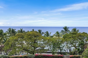 Ocean View