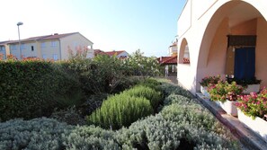 Shared garden