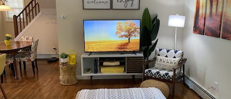 Living room with Roku and DVD player and complimentary DVDs.