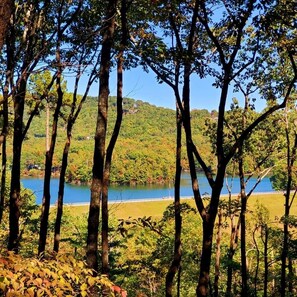 Look under the tree canapy to Lake Petit & possibly see an eagle on Eagle Island