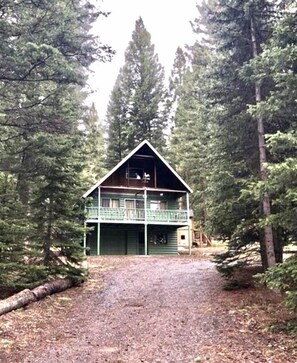 Cozy Critter Cabin has great views from that front porch!