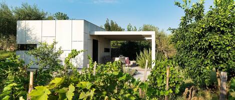 Une base idéale pour une personne seule ou un couple pour profiter de l'Etna et de son vin. La mer n'est pas loin.