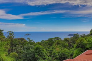 Beach/ocean view