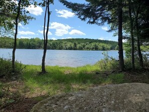 Standing on the shore in the back yard