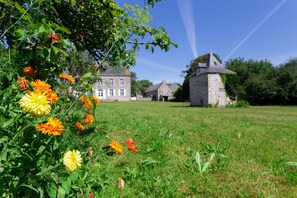 Garden from back