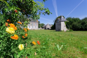 Garden from back