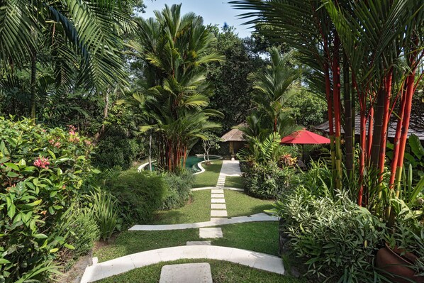 Jardim
