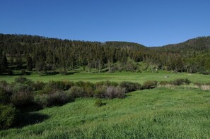 View from the road