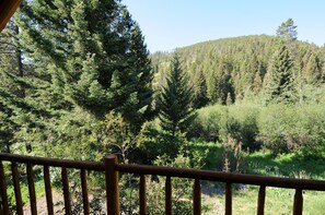 View from the balcony off the family room