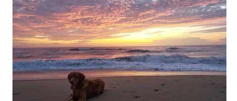 One of the beautiful sunrises in Virginia Beach