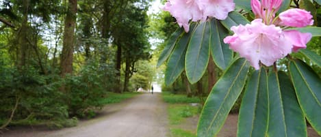 Overnatningsstedets område