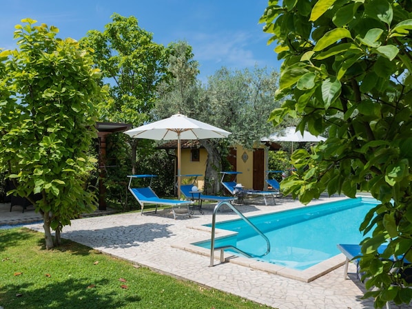 Plante, Bleu Azur, L'Eau, Botanique, Ombre, Mobilier De Jardin, Arbre, Ciel, Piscine, Loisir