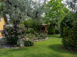 Plante, Fleur, Communauté Des Plantes, Arbre, Lot Terre, Paysage Naturel, Bâtiment, Herbe, Chalet, Couverture De Sol