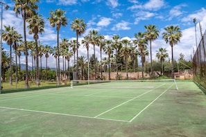 Terrain de sport