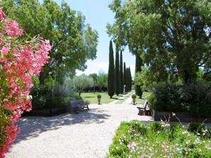 Jardines del alojamiento