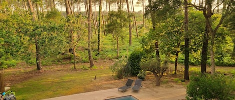 Jardin ouvert sur la forêt. Piscine sécurisée par un volet roulant.