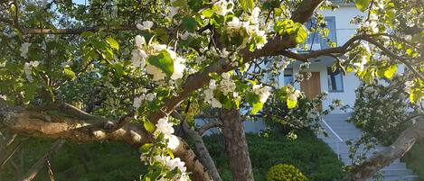 Jardines del alojamiento