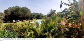 pool, piscina 